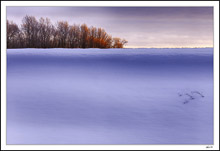 When A Spring Berm Becomes A Winter Dune I