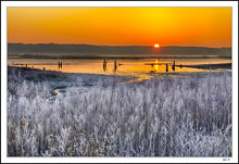 Icey-Hot Conditions At Sunrise On The River