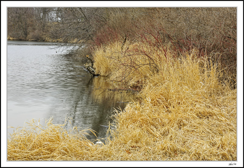 Spring's Winter Colors And Textures Leave A Vivid Impression