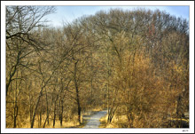 A Glorious Trail Through The Winter/Spring Colors