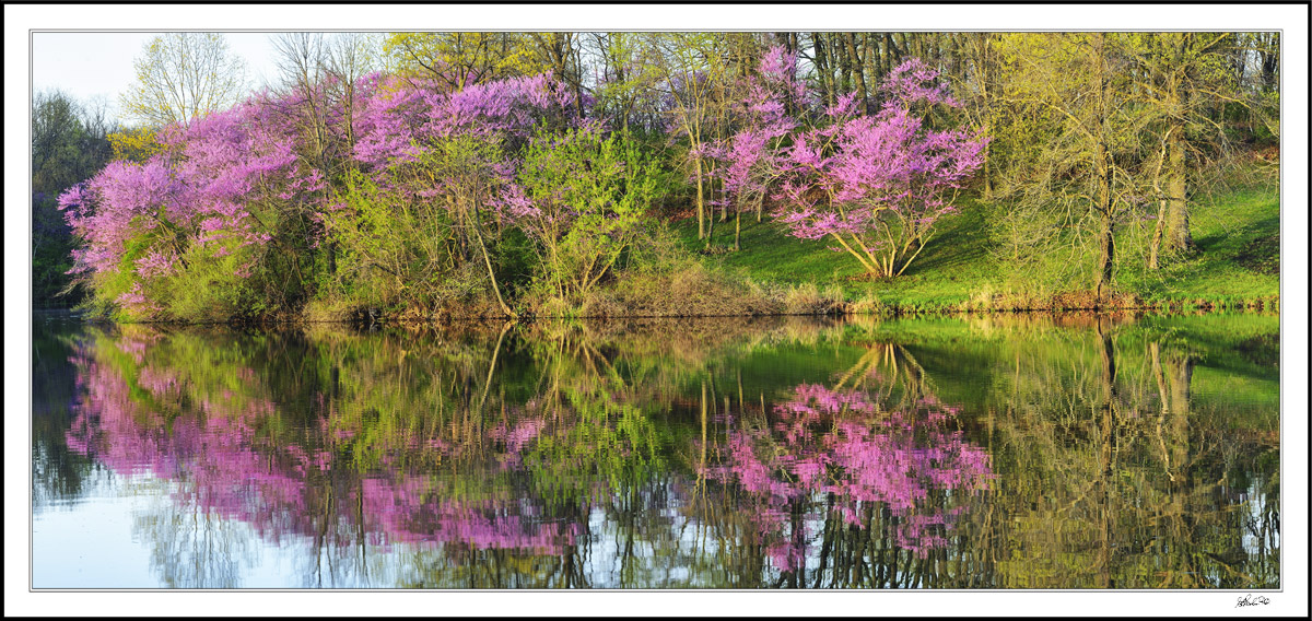 Idyllic Reflections I
