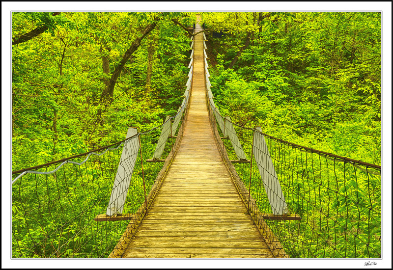 Lover's Leap Swinging Bridge