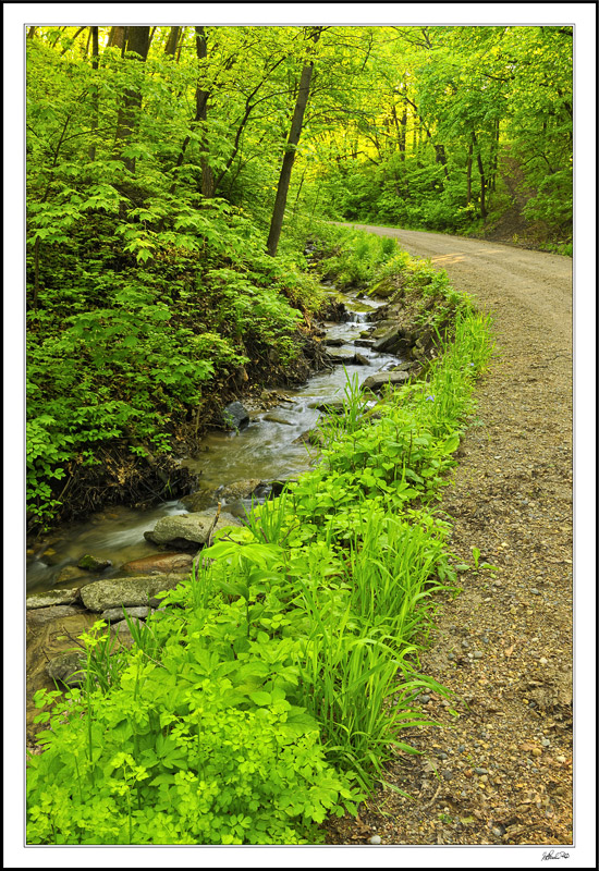 Hidden Hollow, Gurgling Creek