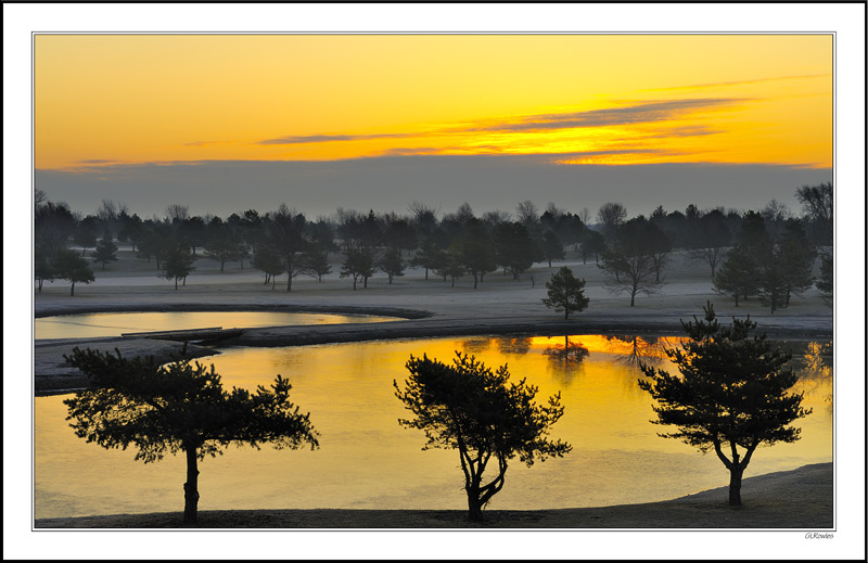 Sunrise Reception