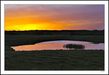 See-Through Pond