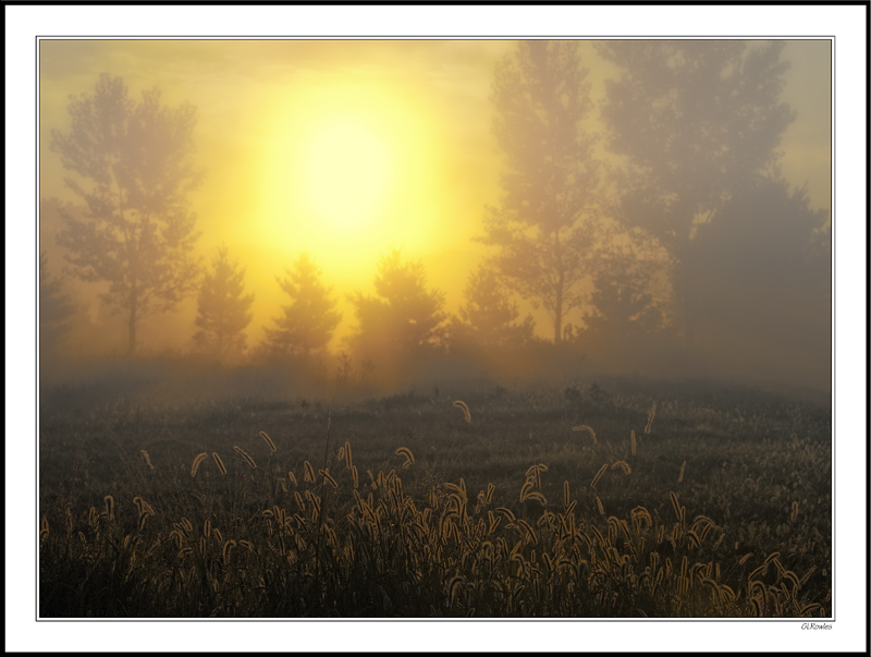 Foggy Sundazzle