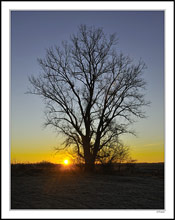 Dawn Silhouette