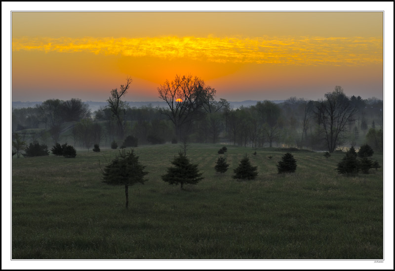 Orange Mist Dawn II