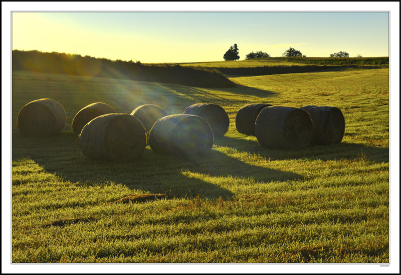 Sunray Bales