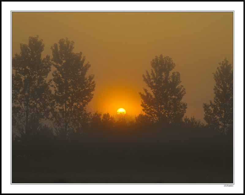 Fogbound Sunrise II