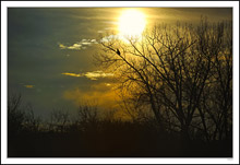 Sunset Eagle Silhouette