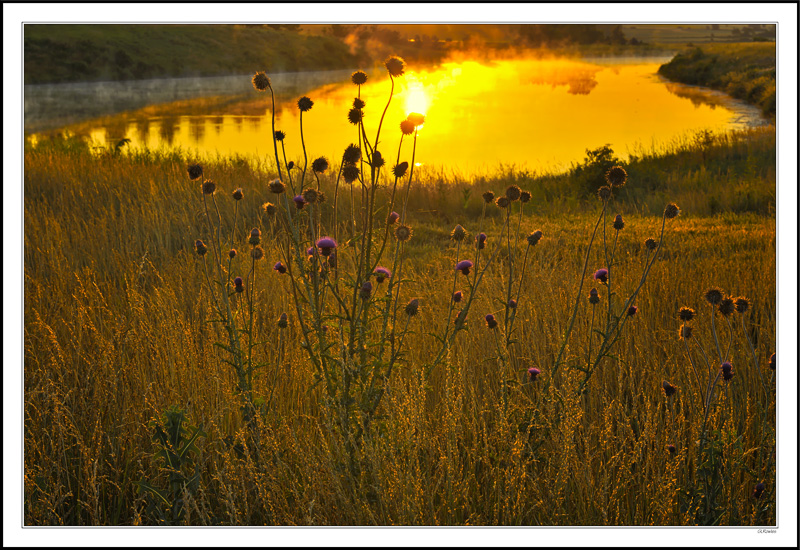 Golden Sunrise Mirrored