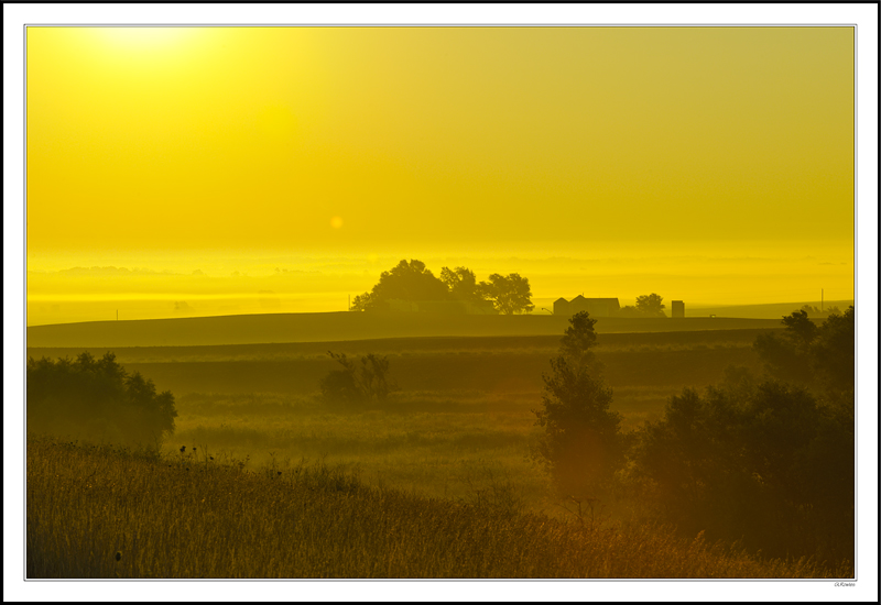 Dawn Silhouettes