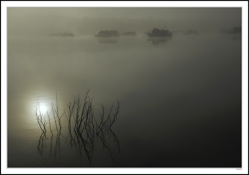 Sunlight Penetrates The Fogbound Marina