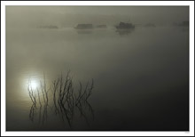 Sunlight Penetrates The Fogbound Marina