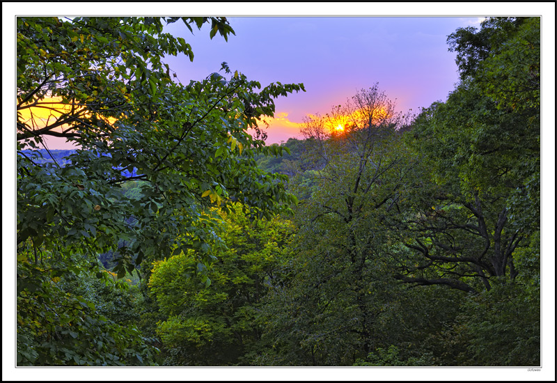 Pastel Sunset Across The Wooded Valley