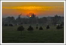 Horizon And Meadow