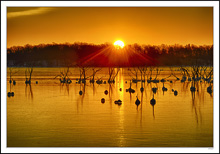 Sunrise Reveals Strange Forms