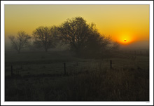 Soft Dawn Cradling Orb