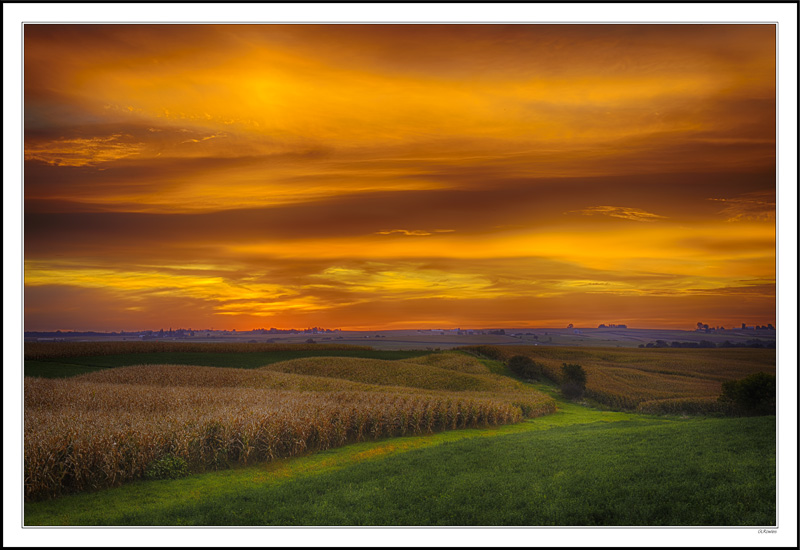 A Sea Of Sky And Crops