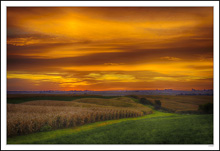 A Sea Of Sky And Crops