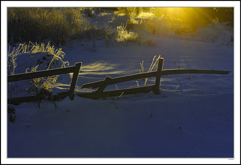 Frosty Aged Fence Embraces The Dawn