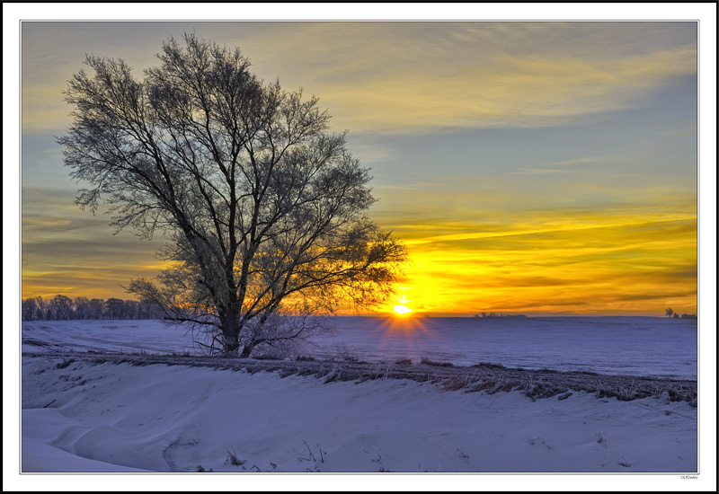 Sunrise Fan