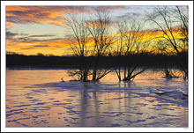 Sunrise Pond I