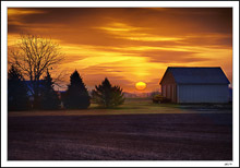 Warm Farmland Morning