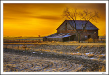 Wishbone Barn Dawn