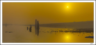 Foggy Lagoon Aglow I