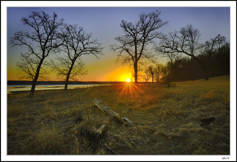 Late Winter Sunglow