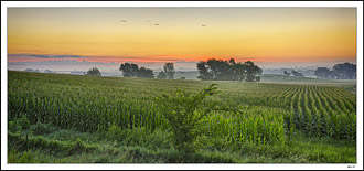 Sunglow Fields