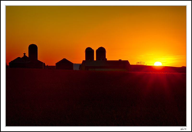 Farmland Silhouettes