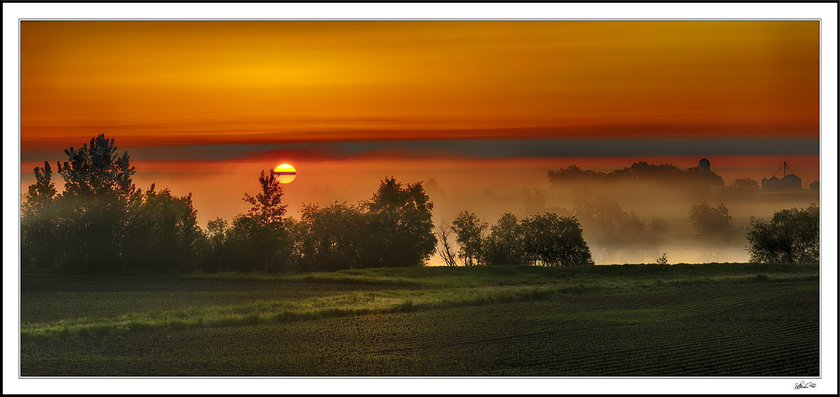 Foggy Farmland Dawn