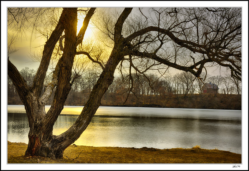 Baroque Trunk Dramatizes A Hazy Sunrise