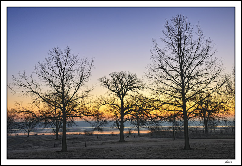 Deer Graze In The Distance As Dawn Breaks