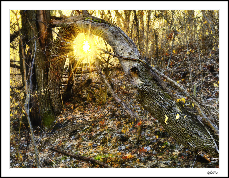 Sunrise Arch Along A Hiking Trail