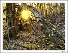 Sunrise Arch Along A Hiking Trail