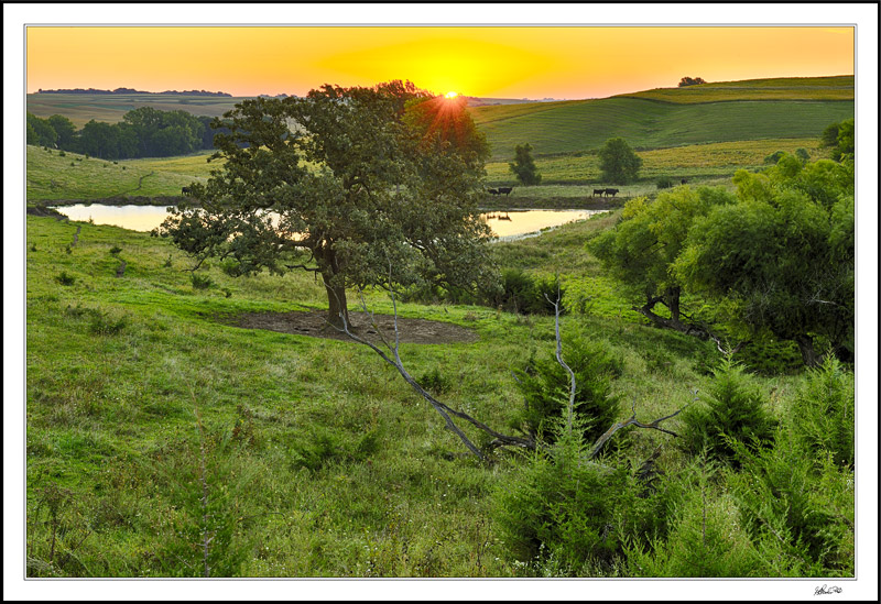 Sunrise Over Dogwood Pond
