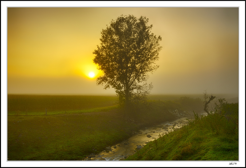 On Irish Hollow Creek I
