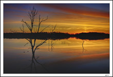 Pre-Sunrise Reflected
