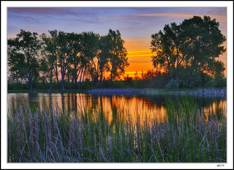 Hidden Vernal Pond
