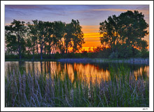 Hidden Vernal Pond
