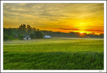 Tranquil Fields
