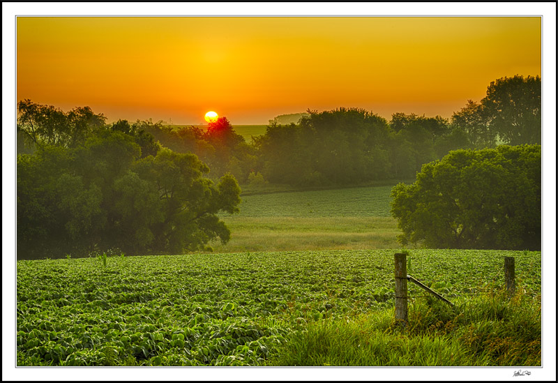 Sunrise Glow
