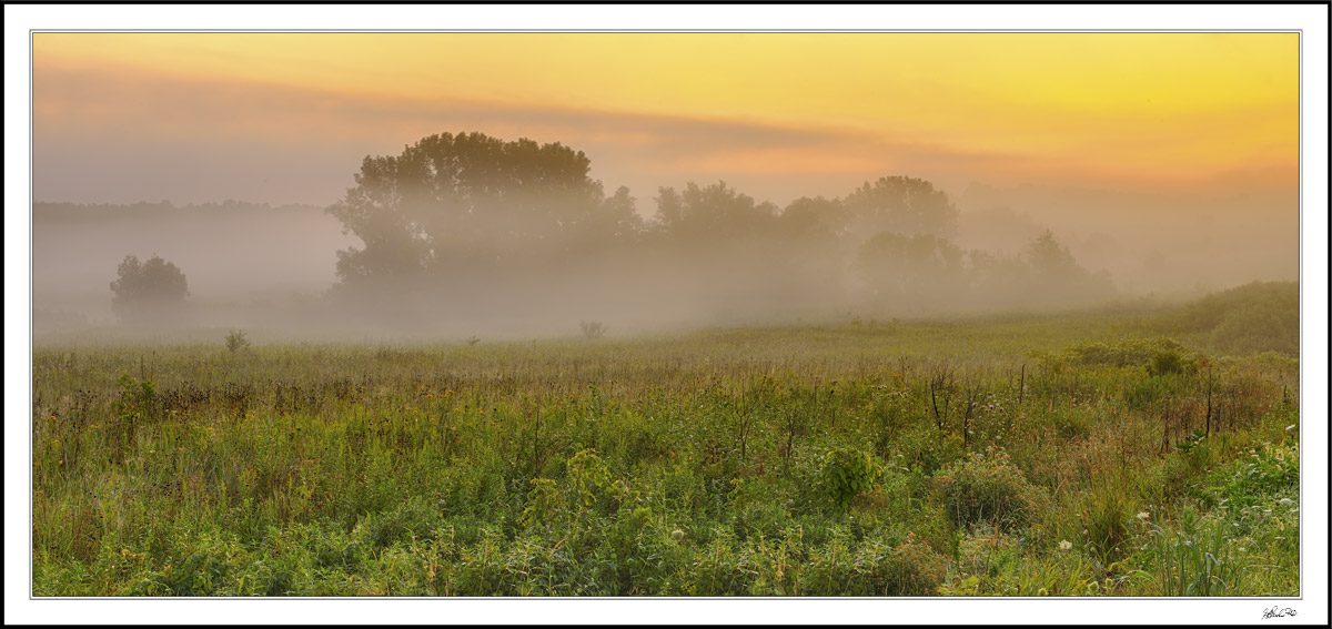 Foggy Dawn's Early Light