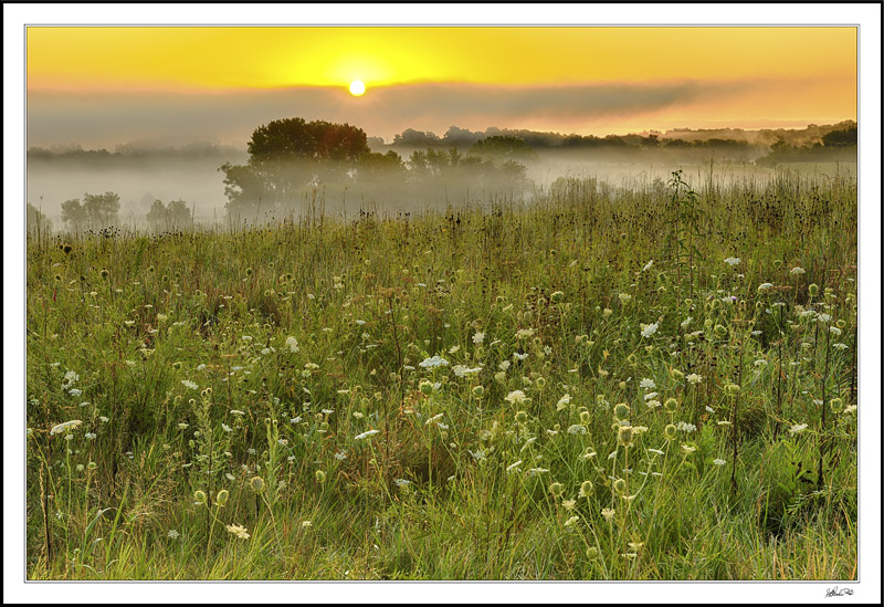 Sunrise Breaks Over The Lifting Fog