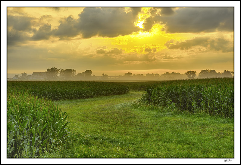 Pathway To The Sun