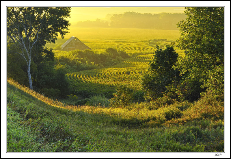 Like An Ancient Pyramid In Sculpted Fields Of Gold